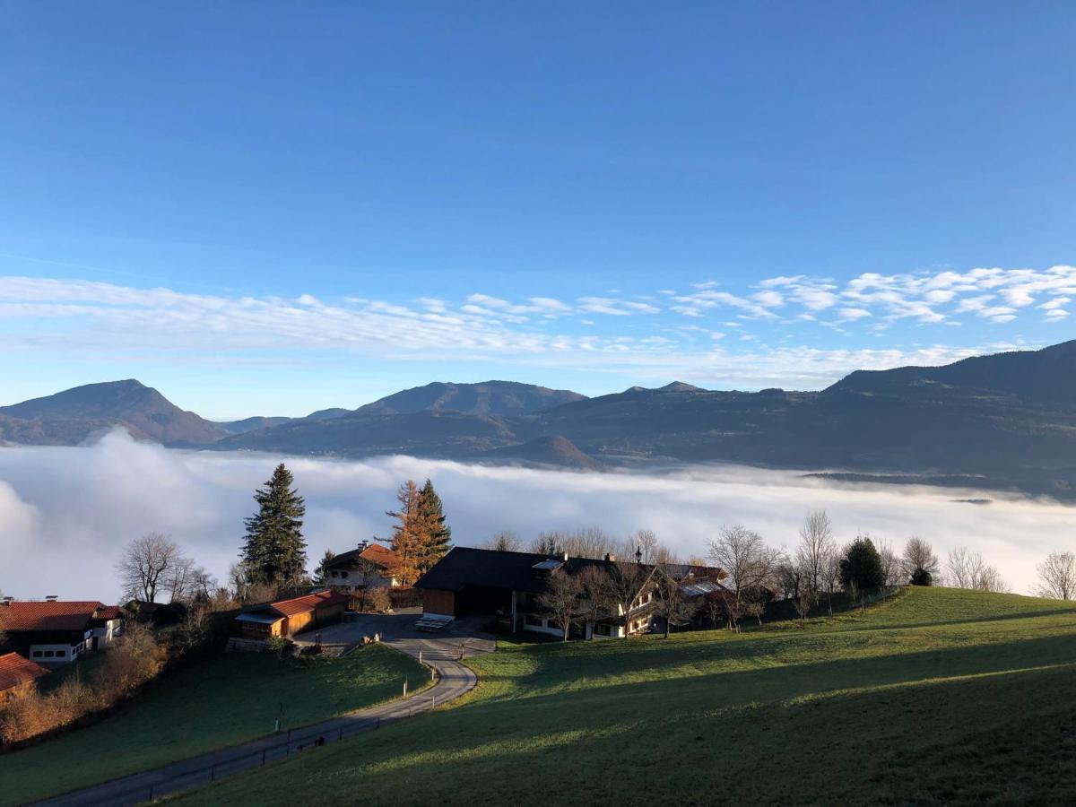 Ferienwohnung Kailgut Hallein Exterior foto